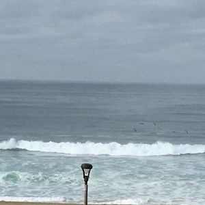 Meet your Posher, Alisha